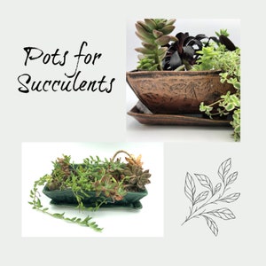 Handmade Pottery Succulent Planter also great for Bonsai planting, Drip Tray included, Ready to Ship, Unique Ceramic  Floral Arrangement