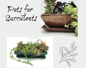 Handmade Pottery Succulent Planter with Drip Tray: Ceramic Bonsai Pot