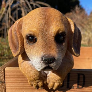 May include: A brown and tan puppy statue with large, dark eyes, peeking out of a wooden crate. The crate has visible wood grain and black lettering. The puppy's paws rest on the crate's edge, creating a charming, lifelike appearance.