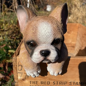 May include: A brown and white French Bulldog statue with black eyes and a black nose, peeking out of a wooden crate. The crate has text printed on it. The statue has detailed fur and is in a natural outdoor setting.