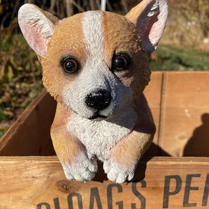 May include: A detailed, lifelike corgi puppy statue with brown and white fur, large brown eyes, and a black nose. The corgi is positioned in a wooden crate with the text "CLOAG'S PER" visible. The statue is outdoors in natural light.