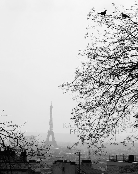 Black and White Paris Photography, Eiffel Tower, Love Birds