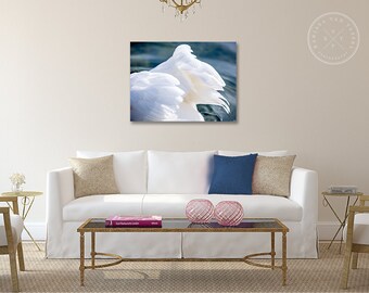 Canvas, Paris Photography, Swan Photography, Seine Photo, feather photo, swan photo, paris photo, seine, paris, feather decor, feathers