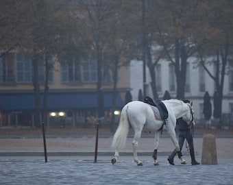 Versailles Horse Photograph, Fine Art Paris Print