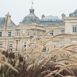 Paris Photography, Luxembourg Park, Paris Photo, Paris Decor, Paris Garden, Fall Colors,  Travel Photography, Wanderlust Print, Parisian