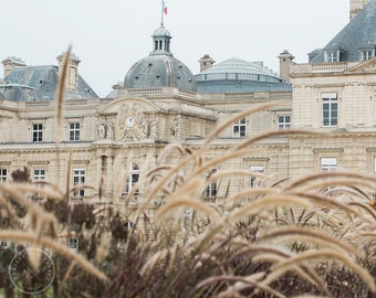 Luxembourg Gardens Paris Photography, Fall Colors, Parisian Print