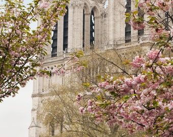 Notre Dame Paris Photography, Spring Blossoms Print