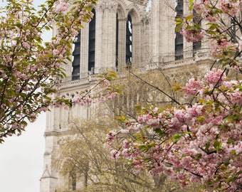 Paris Photography, Notre Dame Print, Paris Photo, Paris Decor, Paris Theme, Springtime in Paris, Travel Photography, Wanderlust, Paris