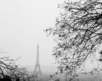 Paris Eiffel Tower Black and White Photograph, Love Birds Print