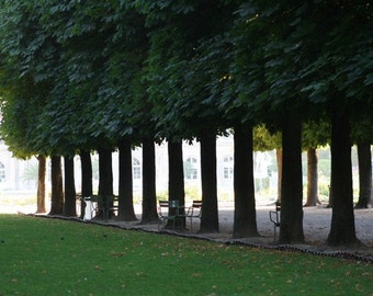 Luxembourg Garden Paris Photo, Green Tree Photography, Parisian Print