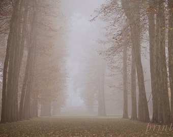Versailles Garden Photography, Foggy Autumn Scene, Paris Decor