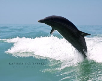 Dolphin Photo, Dolphin Photograph, Dolphin Photography, Sanibel Island, Ocean Photography, Dolphin Theme, Dolphin Decor, Dolphins