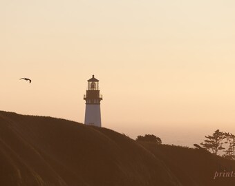 Oregon Coast Lighthouse Photography Print, Nautical Wall Art