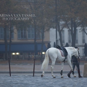 Paris Photograph, Paris Photography, Horse Print, Paris Wall Art, Paris Decor, Versailles Print, Horse Photo, Horse Wall Print, Ralph Lauren image 1