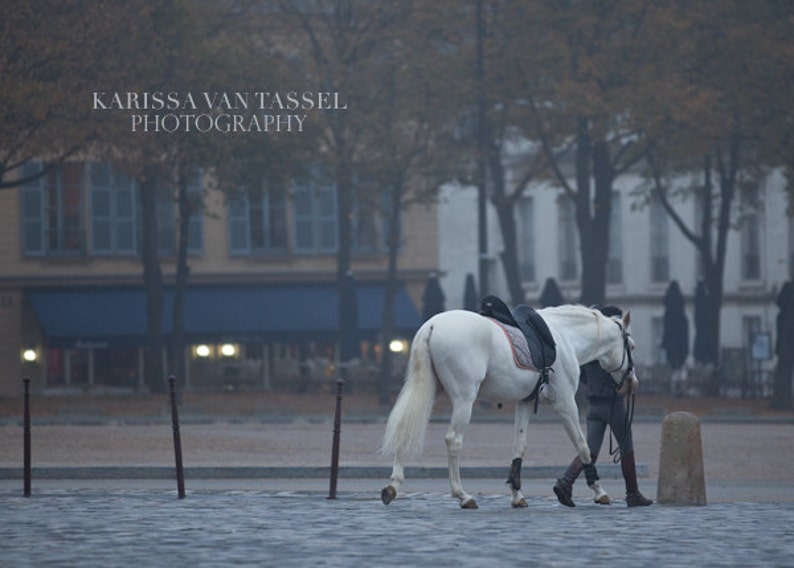 Paris Photograph, Paris Photography, Horse Print, Paris Wall Art, Paris Decor, Versailles Print, Horse Photo, Horse Wall Print, Ralph Lauren image 1