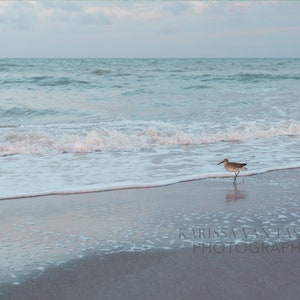 May include: A lone shorebird walks along a sandy beach with foamy waves lapping at the shore. The sky is a pale blue with a few clouds.