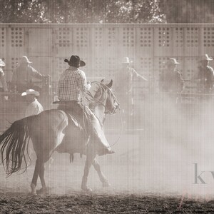 Horse Photography, Modern Horse Photo, Horse Lover, Horse Lover Gift, Rodeo Photo, Cowboy, Cowboy Hat, Rodeo, Cowboy Decor, Cowboy Print