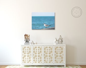 Canvas, Bird Photograph, Seagull Photo, Key West Photo, Blue Ocean, Ocean Photo, Ocean Photography, Florida Photo, Beach Theme, Island theme