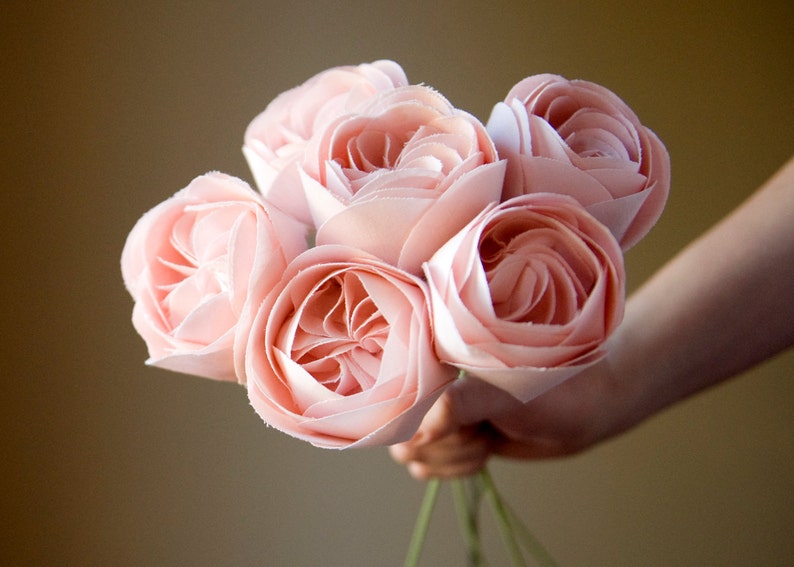 Juliet Rose South Africa Juliet Rose South Africa, Image0, Juliet Rose South Africa