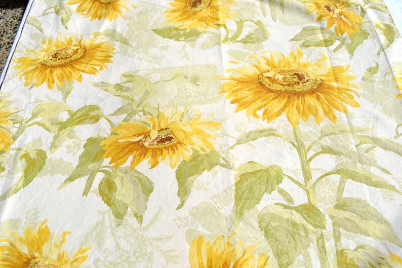 2 Square Euro Size Cotton Pottery Barn Pillow Shams Yellow