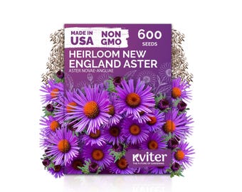 600 New England Aster Seeds (Aster Novae-Angliae), New England Aster Seeds, Perennial Flower Seeds For Butterfly Garden, Cut Flower Garden