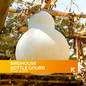 10 PCS - Bottle Gourd Seeds for Planting (Lagenaria Siceraria) – Calabash Gourd Bird House Heirloom Seeds Non Gmo Organic, Gourds for Crafts
