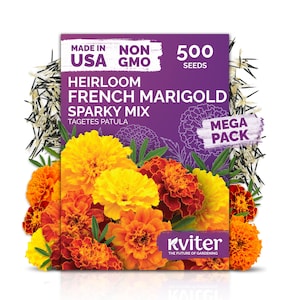 500 Sparky Mixture French Marigold (Tagetes Patula) Seeds, Marigold Seeds, Companion Plant Flowers, Pest Control Garden