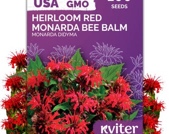 100 Red Monarda Bee Balm (Monarda Didyma) Seeds, Bee Balm Seeds, Pollinator Flowers and Hummingbird Plant Seed Packets for Herb Garden