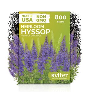 May include: A packet of Heirloom Hyssop seeds, with the text "Made in USA" and "Non GMO". The packet is green with a purple flower illustration and the text "800 Seeds". Black seeds and purple flowers surround the packet.