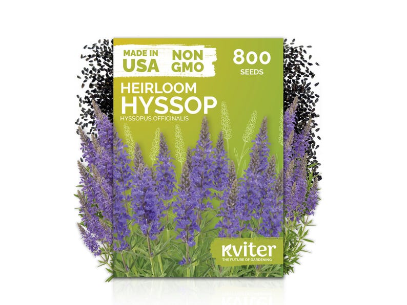 May include: A packet of Heirloom Hyssop seeds, with the text "Made in USA" and "Non GMO". The packet is green with a purple flower illustration and the text "800 Seeds". Black seeds and purple flowers surround the packet.