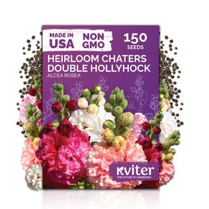 May include: A seed packet for Heirloom Chaters Double Hollyhock, with the text "Made in USA" and "Non-GMO". The packet is purple and features a colorful display of pink, red, and white hollyhock flowers. The packet contains 150 seeds.