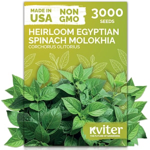 Molokhia Jute Leaves Egyptian Spinach Seeds (Corchorus Olitorius) - 3000 PCS