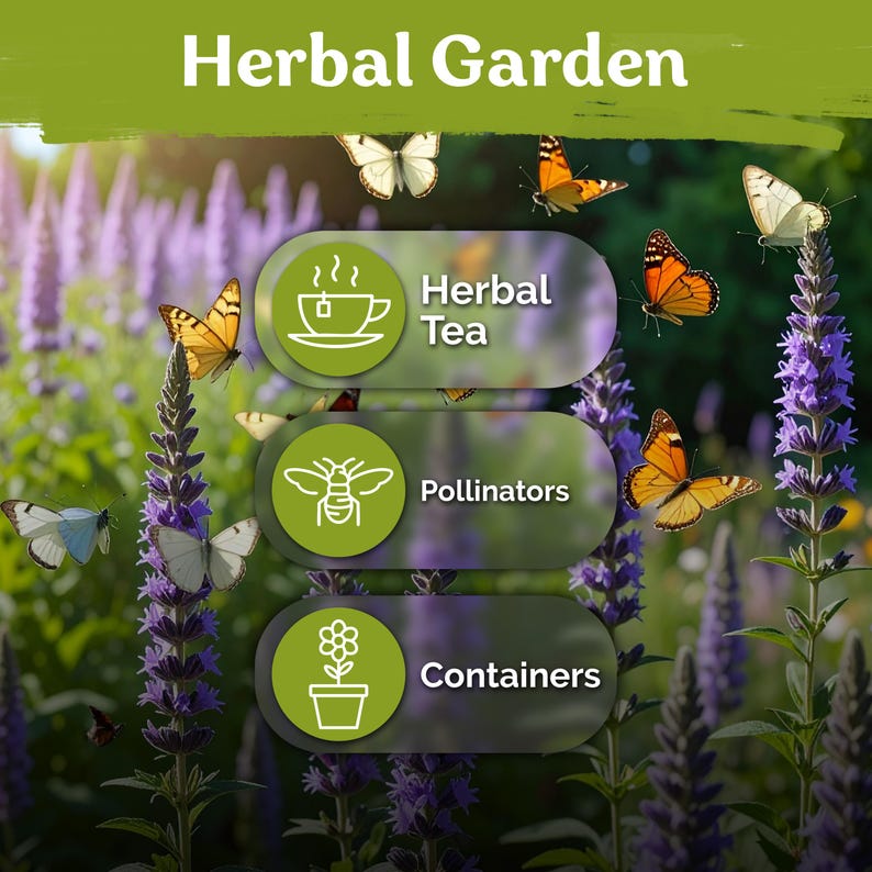May include: An image promoting a herbal garden, featuring butterflies and purple flowers. The text includes "Herbal Garden", "Herbal Tea", "Pollinators", and "Containers". The image has a green and white color scheme.