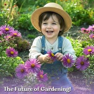 600 New England Aster Seeds (Aster Novae-Angliae), New England Aster Seeds, Perennial Flower Seeds For Butterfly Garden, Cut Flower Garden immagine 8