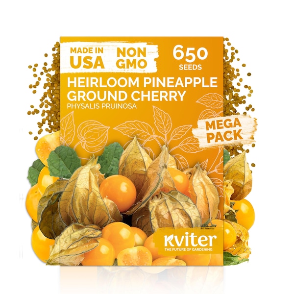 650 Pineapple Ground Cherry (Physalis Pruinosa) Seeds, Sweet Fruit Seeds, Edible Berry Plant, Heirloom Ground Cherry For Home Garden