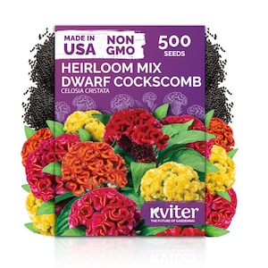 Celosia Seeds - Etsy