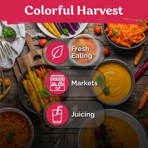 May include: A top-down view of a wooden table with the text "Colorful Harvest". The image features bowls of carrots, carrot soup, and tomatoes. Icons for "Fresh Eating", "Markets", and "Juicing" are also present.