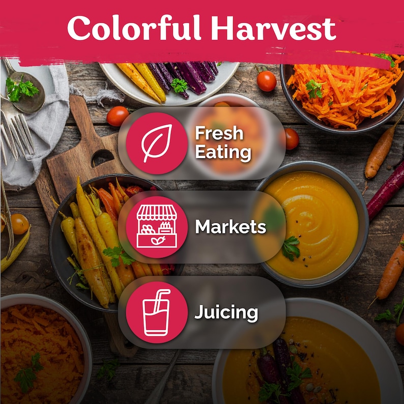 May include: A top-down view of a wooden table with the text "Colorful Harvest". The image features bowls of carrots, carrot soup, and tomatoes. Icons for "Fresh Eating", "Markets", and "Juicing" are also present.