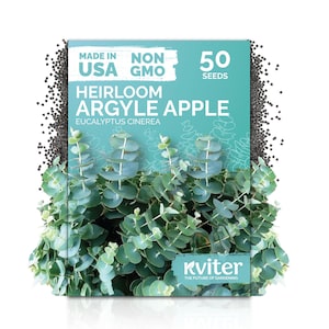 May include: A rectangular seed packet with a teal background featuring the text MADE IN USA, NON GMO, 50 SEEDS, HEIRLOOM ARGYLE APPLE, EUCALYPTUS CINEREA, and Kviter. The packet displays a cluster of green eucalyptus leaves and small black seeds.