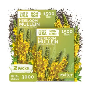 May include: Two packs of Heirloom Mullein seeds, each containing 1500 seeds, totaling 3000 seeds. The packaging is green with yellow text and images of yellow flowers. The text on the packaging reads "Made in USA" and "Non GMO".