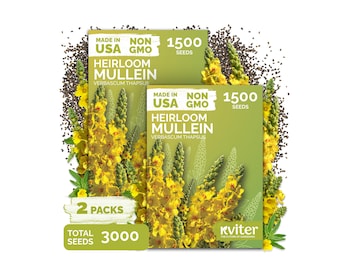 3000 Mullein Seeds For Planting (Verbascum Thapsus), Mullein Seed Packets, Yellow Biennial Herb Wildflower For Herb Garden And Meadows