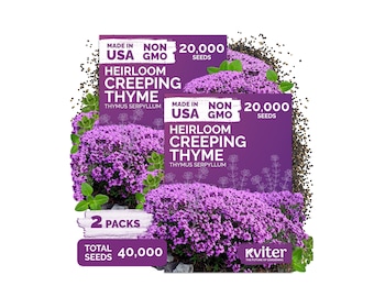 40000 Creeping Thyme Seeds (Thymus Serpyllum), Heirloom Thyme Seed Packets, Purple Ground Cover Herb Seeds For Garden Paths & Landscapes