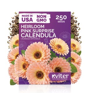 May include: A rectangular seed packet with a purple background featuring light pink calendula flowers. Text reads: MADE IN USA, NON GMO, 250 SEEDS, HEIRLOOM PINK SURPRISE CALENDULA, CALENDULA OFFICINALIS, and the brand name Kviter, The Future of Gardening.