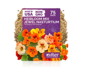 75 Mix Jewel Nasturtium Seeds (Tropaeolum nanum), Edible Flower Seeds for Planting, Heirloom Garden Seeds for Containers, Hanging Baskets