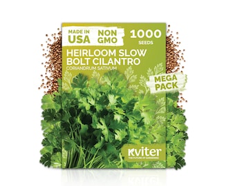 1000 Slow Bolt Cilantro Seeds (Coriandrum Sativum), Cilantro Coriander Seeds, Cooking Herbs Seed Packets For Outdoor & Indoor Herb Garden