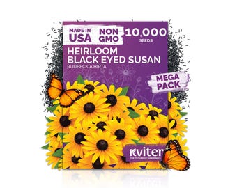 10000 Black Eyed Susan Seeds For Planting (Rudbeckia hirta), Black Eyed Susan Seed Packets, Perennial Flower Seeds for Flower Garden