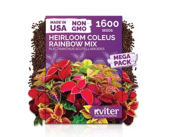 1600 Mix Rainbow Coleus Seeds (Plectranthus Scutellarioides), Coleus Mix Seed Packets, Flower Seeds For Shade Flower Garden And Container