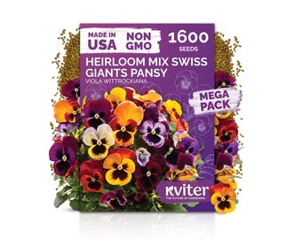 1,600 Mix Swiss Giants Pansy Seeds (Viola wittrockiana), Giant Pansy Flowers, Mixed Color Pansies, Garden Flower Seeds