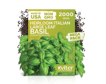 2000 Italian Large Leaf Basil Seeds (Ocimum basilicum), Sweet Basil Seeds, Cooking Herbs Seed Packets for Indoor & Outdoor Herb Garden