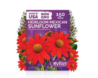 150 Mexican Sunflower Seeds (Tithonia Rotundifolia), Orange Sunflower Seed Packets, Tall Flower Seeds For Butterfly Garden, Flower Garden